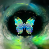 Camera zoomed in Camera zoomed in