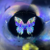 Camera zoomed in Camera zoomed in