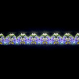 Iris of Peggy's Garden Iris of Peggy's Garden