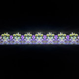 Iris of Peggy's Garden Iris of Peggy's Garden