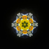 Daffodil of Peggy's Garden