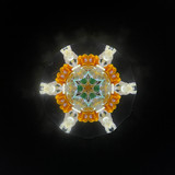 Daffodil of Peggy's Garden