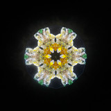 Daffodil of Peggy's Garden