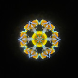 Daffodil of Peggy's Garden