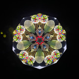 Vibe of Paris side of cell