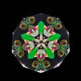 Taste of Paris side of cell