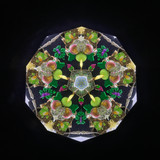 Taste of Paris side of cell