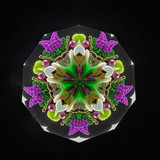 Taste of Paris side of cell