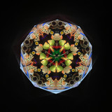 Paris food themed side Paris food themed side