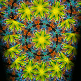 Wildflower