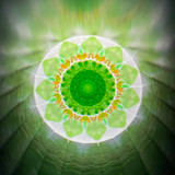 Midori