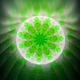 Midori
