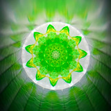 Midori