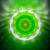Midori