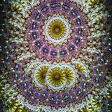 Side-Lit Handheld Side-Lit Handheld