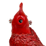 Detail: Viewing port at back of head