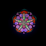 2-mirror, 5-point system