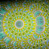 Asanoha Cylinder - Green Asanoha Cylinder - Green