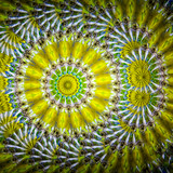 Asanoha Cylinder - Green Asanoha Cylinder - Green