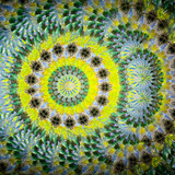 Asanoha Cylinder - Green Asanoha Cylinder - Green