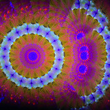 Shot under UV Black Light Shot under UV Black Light