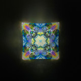 S Series Collaboration - 2M,4P S Series Collaboration - 2M,4P