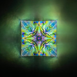 S Series Collaboration - 2M,4P S Series Collaboration - 2M,4P