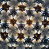 Berube Wood Teleidoscope (LRG)