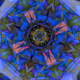 Shot under BOTH regular LED and UV Black Lighting