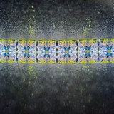 Moulin Rouge (Chorus Line)