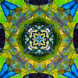 Mariposa - Tetrahedron Parlor (3/25)