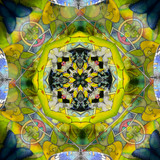 Mariposa - Tetrahedron Parlor (3/25)