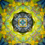 Mariposa - Tetrahedron Parlor (3/25)