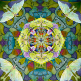 Luna Moth - Tetrahedron Parlor (1/25)