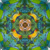 Luna Moth - Tetrahedron Parlor (1/25)