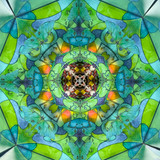 Luna Moth - Tetrahedron Parlor (1/25)