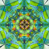 Luna Moth - Tetrahedron Parlor (1/25)