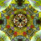 Luna Moth - Tetrahedron Parlor (1/25)