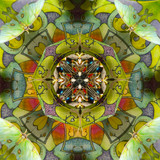 Luna Moth - Tetrahedron Parlor (1/25)