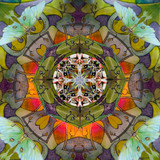 Luna Moth - Tetrahedron Parlor (1/25)