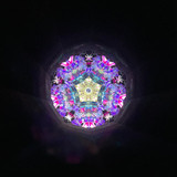 Lebanon Cedar Kaleidoscope