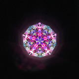 Lebanon Cedar Kaleidoscope