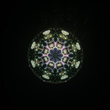 Fate's Delight - #8/50