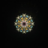 Fate's Delight - #8/50