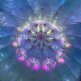 LIGHT moved not scope