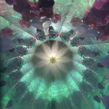 LIGHT moved not scope