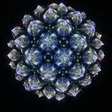 BLACK background cell