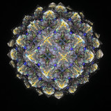 BLACK background cell