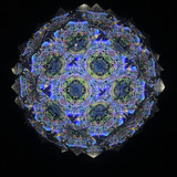 BLACK background cell