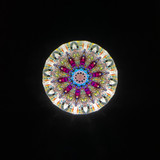 ParaCone - Limited Edition